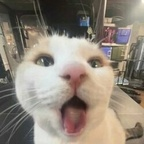 Onlyfans leaked abbxster 

 profile picture