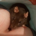 Free access to @actuallyalex Leak OnlyFans 

 profile picture