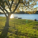 adribond (@adribond1) Leaks OnlyFans 

 profile picture