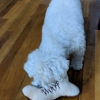 ahegao (:) pink pantsus) free OnlyFans Leaks 

 profile picture