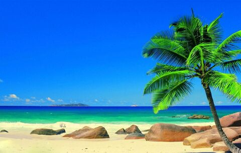 Header of andreasaucedo