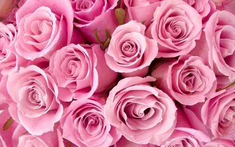 Header of babbycakes