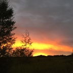 Download baby.t OnlyFans content for free 

 profile picture