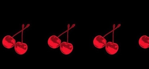 Header of baileybaby7