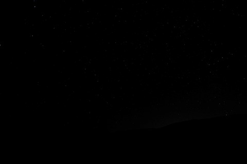 Header of barbiepeachy1