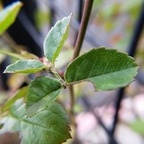 Download bettycrocker OnlyFans content for free 

 profile picture