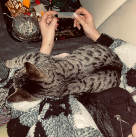 Header of bitchdontkillmyvibe777