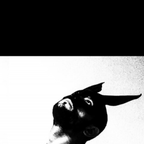 blackdiamond (BlackDiamond) OnlyFans Leaked Videos and Pictures 

 profile picture