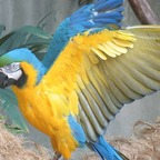 Download bobliterator OnlyFans content for free 

 profile picture