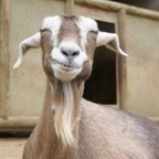 Free access to (@boddy) Leaked OnlyFans 

 profile picture