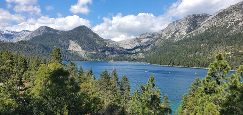 Header of bradbeardsley