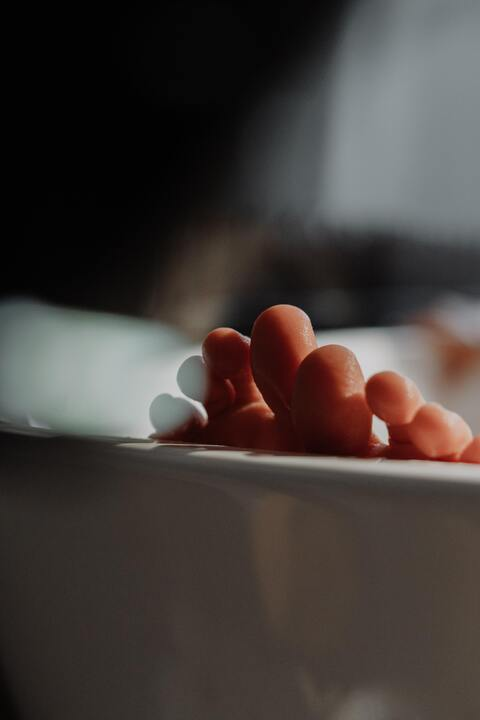 Header of bridgesfeet