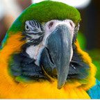 checkit212 (Cody) OnlyFans Leaked Content 

 profile picture