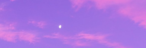 Header of cherryskyhazey