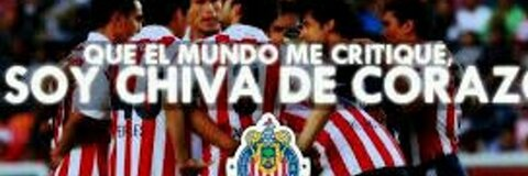 Header of chivis_ags