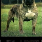 Onlyfans leak chucky_banks 

 profile picture