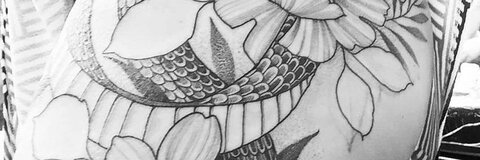 Header of cmsgoddess