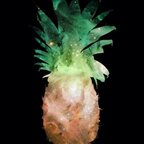 Cosmic Pineapple (cosmicpineapple) Leaked OnlyFans 

 profile picture