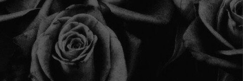 Header of cryptorchid__