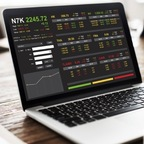 cryptotiger OnlyFans Leak 

 profile picture