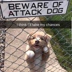 daddy22frost (Mr.FeelsGood) OnlyFans content 

 profile picture