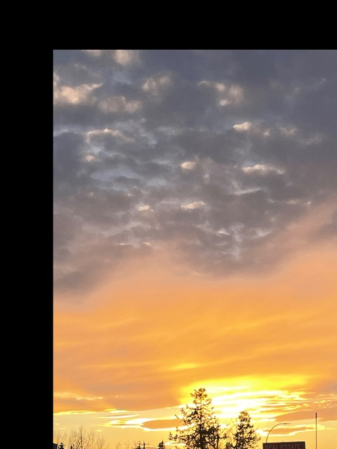 Header of darkangel66666