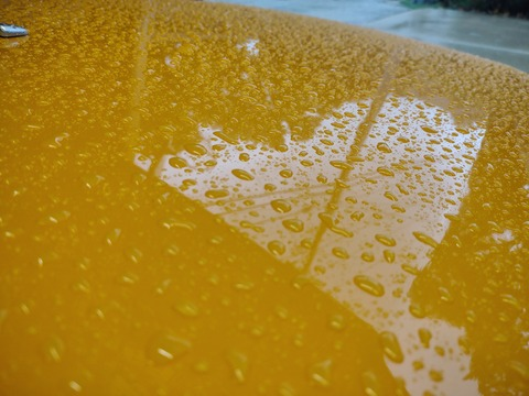 Header of detailingqueen