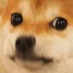 Free access to (@dreianova) Leaks OnlyFans 

 profile picture