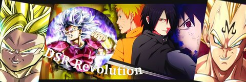 Header of dsrrevolution