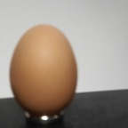 Egg (eggies) Leak OnlyFans 

 profile picture