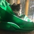 eliya OnlyFans Leaks 

 profile picture