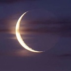 ellalune (EllaLune) OnlyFans Leaked Pictures & Videos 

 profile picture