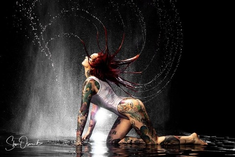 Header of elporter