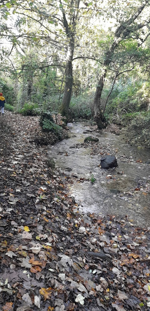 Header of emily-gracexx