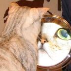 emilylol OnlyFans Leaks 

 profile picture