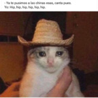 Free access to @forbusik Leak OnlyFans 

 profile picture