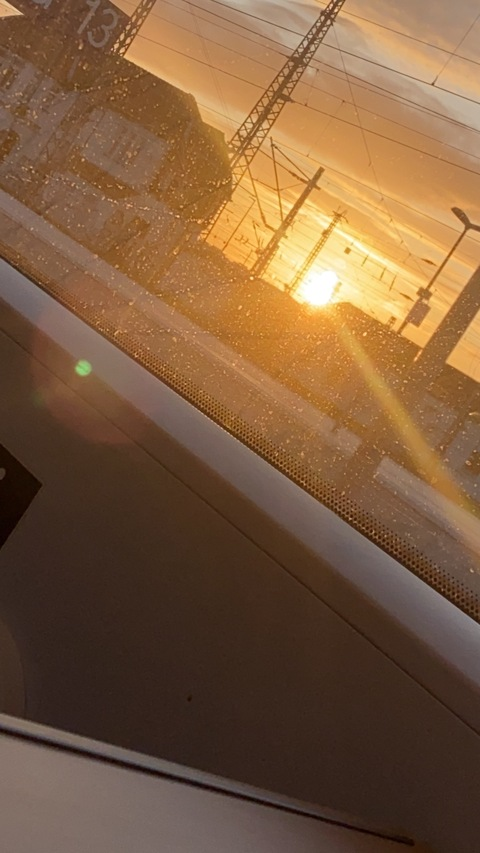Header of gabi_mo