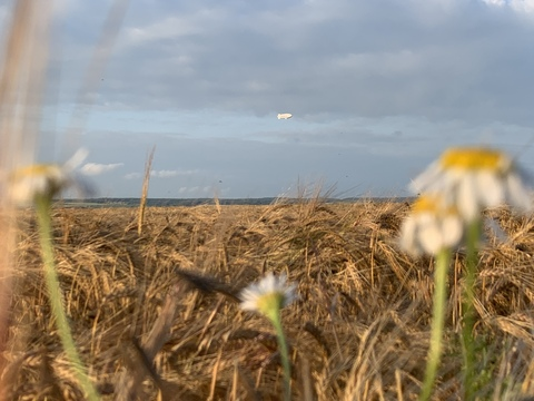 Header of germansexcouple