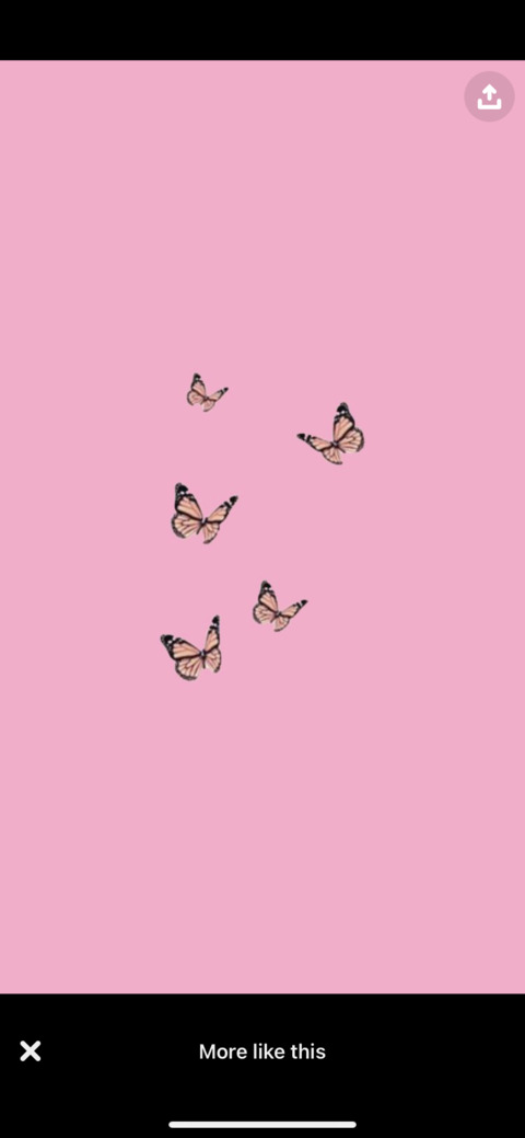 Header of honesty.olson