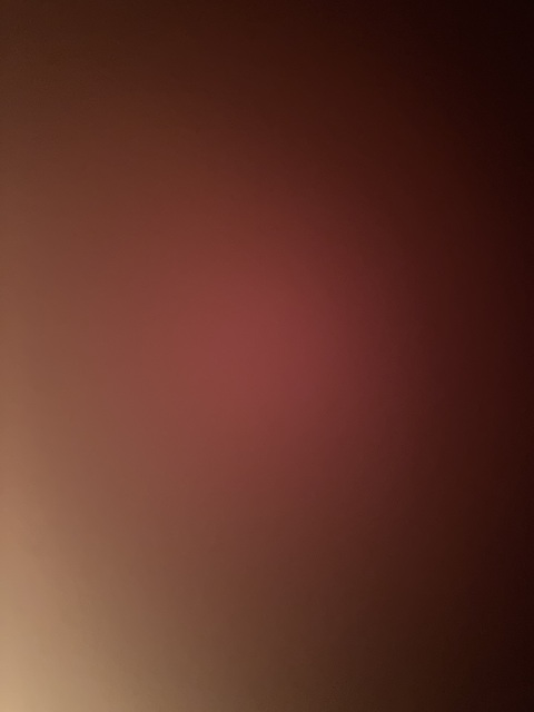 Header of honeyybrii
