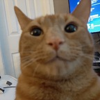 Download imderi OnlyFans leaks for free 

 profile picture