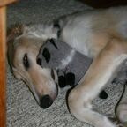 inkii OnlyFans Leaked Photos and Videos 

 profile picture