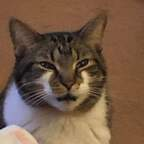 u49815314 @juicymeme Leaked OnlyFans 

 profile picture