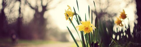 Header of karaoncam