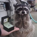 kenzieee OnlyFans Leak 

 profile picture