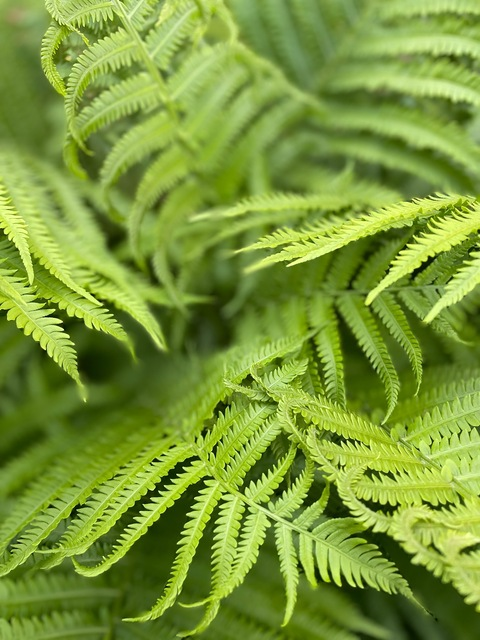 Download innaruy OnlyFans videos and photos for free - Hot69Fan