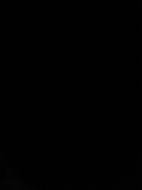 Header of kittykatyy