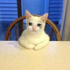 Free access to (@la-la) Leaks OnlyFans 

 profile picture