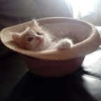 Fer... @lightsshining Leaks OnlyFans 

 profile picture