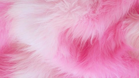 Header of lilithhadpurpose